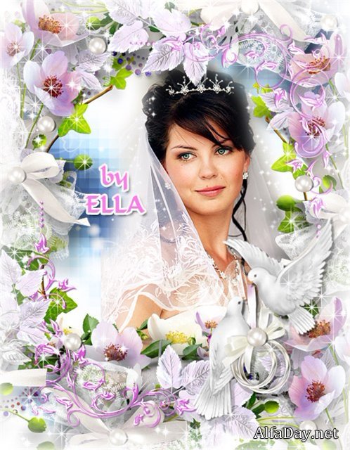 ������ ��������� ����� ��� ���� - ����� ������ �� �������