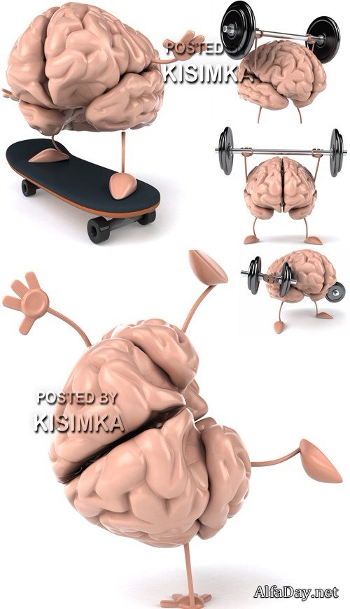 ���������� ���� �������, ���������� � 3D - ������������ ���� � ���������, ������� � �����������