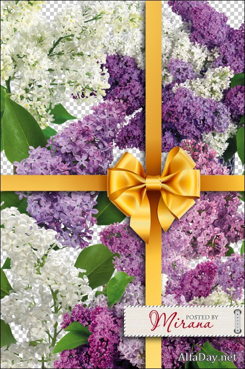 ����� � ������-���������� ������ - �����, �����, ������� PNG �� ���������� ����