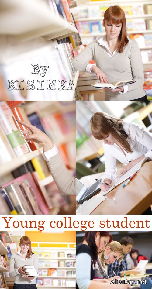 ���� ������� - ������� ���������, ����������