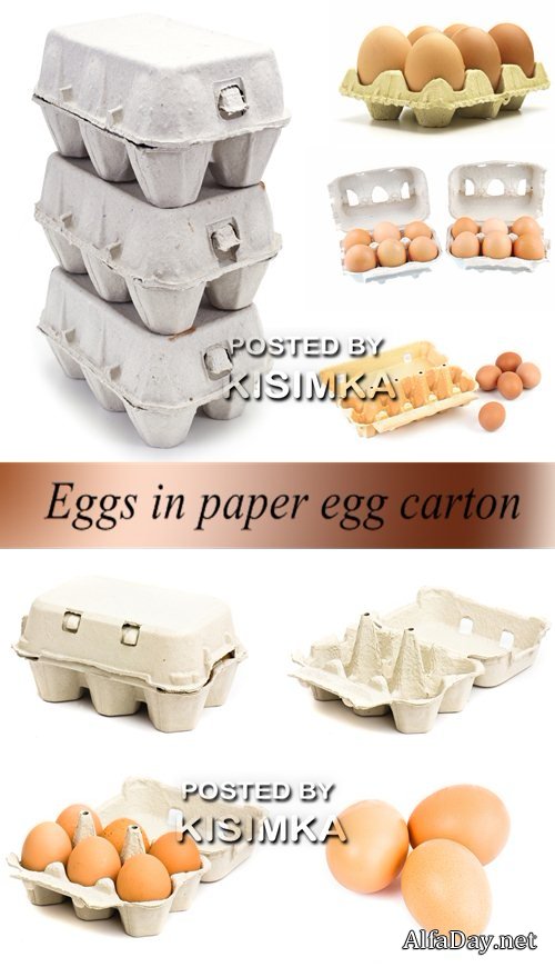 ���� ������� �� ����� ���� - ������� ���� � ��������� ��������