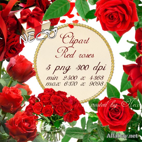 ������� �� ���������� ���� � PNG - ������� ���� � ������ Red Roses Bouquets