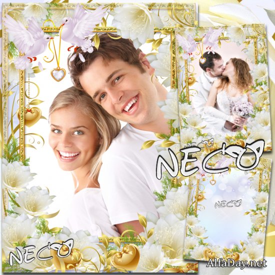 ����� � ������� ������ ������� ��� ���� ��������� - ������� ��������