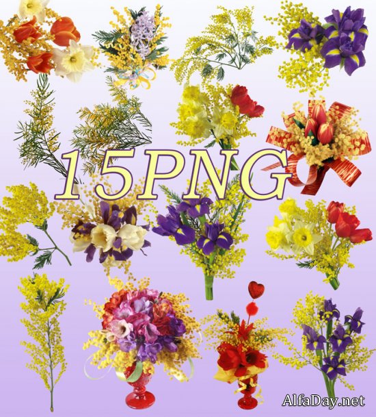 ������� ��� �������� PNG � 8 ����� - �������� �����, ������ � �������