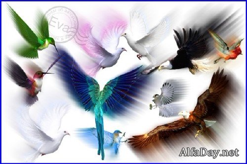 ������������ ������� ��� Photoshop - ����� � �����