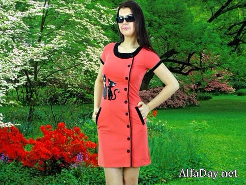 ������� ������ ��� ����������� - ������� �������� � ������� ������ �� ���� ������� �����