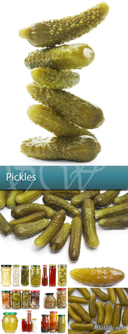 ���� ������ ��������, �������, ��������, ������������ ������, ������, ������, ����� � ������ - ��������� ������� �� ����� ����