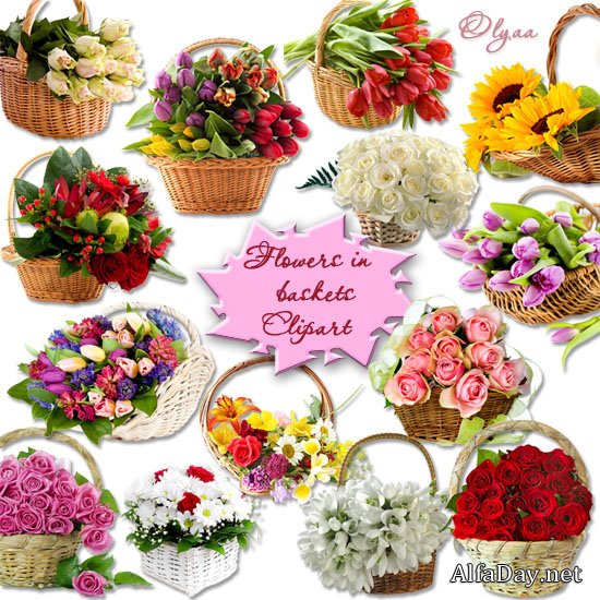 ����� � �������� ���������  �� ���������� ���� � PNG � �������