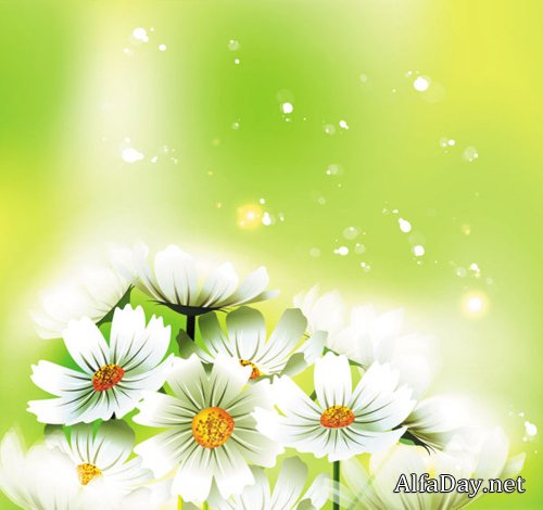 ��������� ������� - ��������� ���, �������