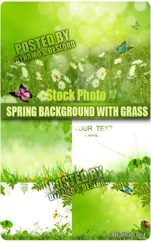 �������� ���� - ������ �����, �����, �������, �������