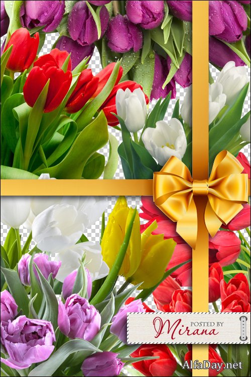 ������������ �������� � 8 ����� - ������� PNG �� ���������� ����