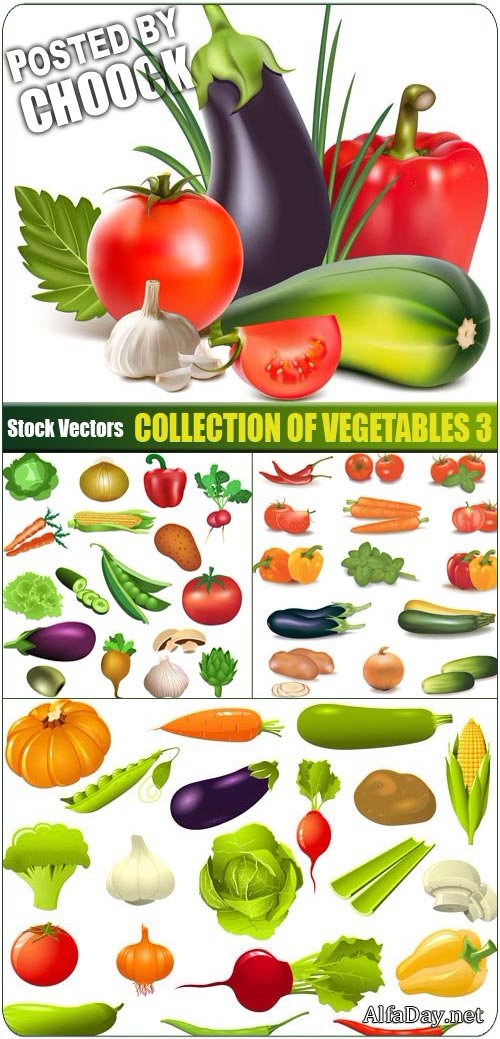 �����, �����, ������ - ��������� ������� �� ����� (����������) ����