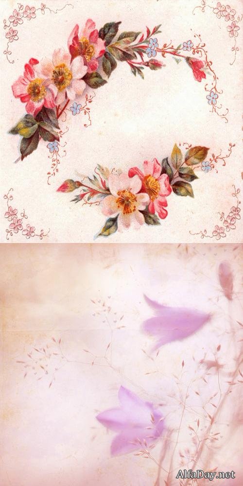 ��������� ��������� ���� - ��������� �������