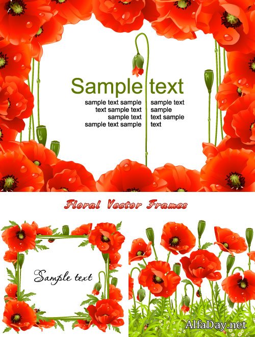 ��������� �����, ������� - �����, ����