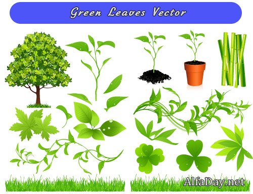 ������� �����, ������, ������ - ��������� �������