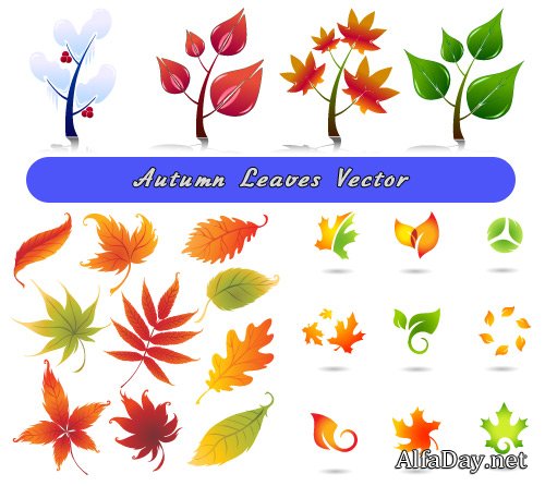 ������� ������ ������� ������ � ������ (������)