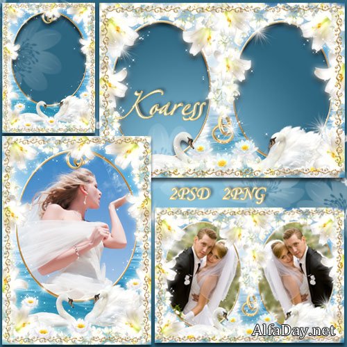 ��������� ����� ��� ���� - ����� ������, ����� �����