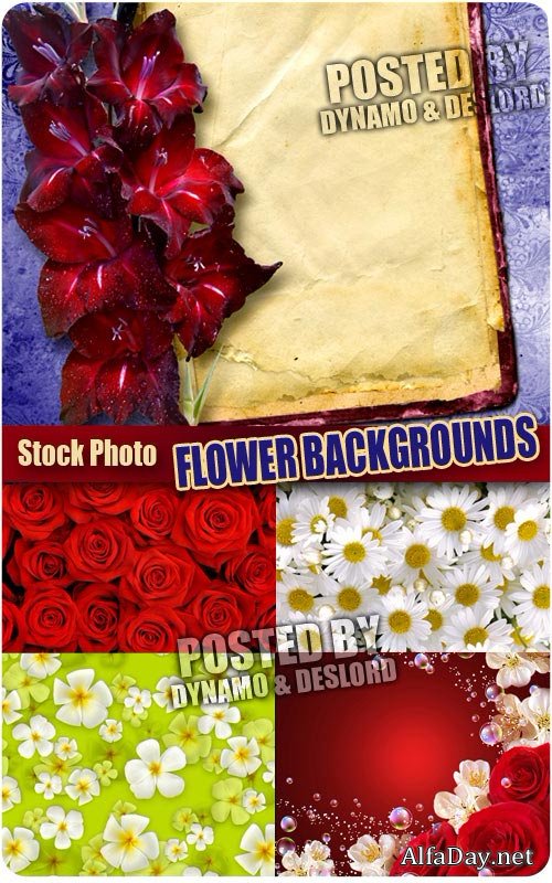 ��������� ����: ����, �������, �������� - ��������� �������