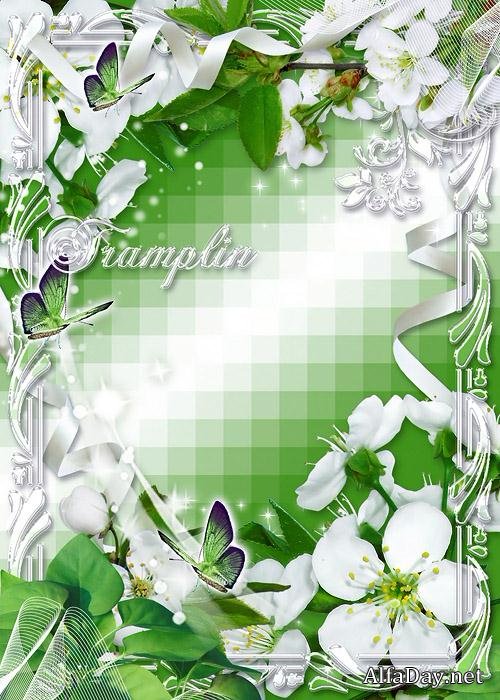 �������� ����� ��� ���� � ����� ������ �����, ������ �������