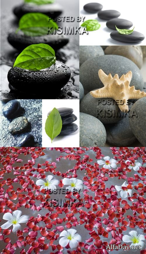 ���� ������� - ������ ����, ���, �������� � �������� ������� ���� �� ����������� ����