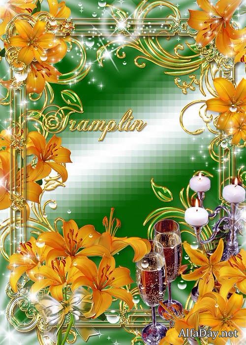 ������������� ����� ��� ���� - �����, ������, �����