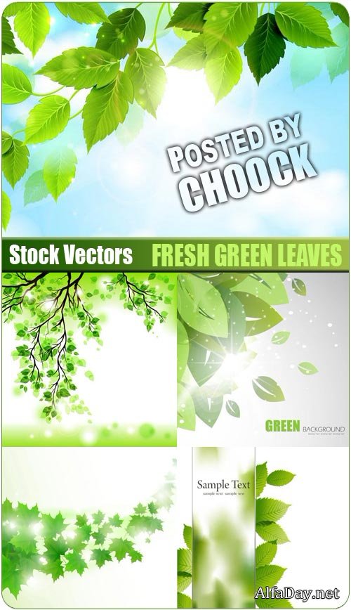 ������ ������� ������ - ��������� �������