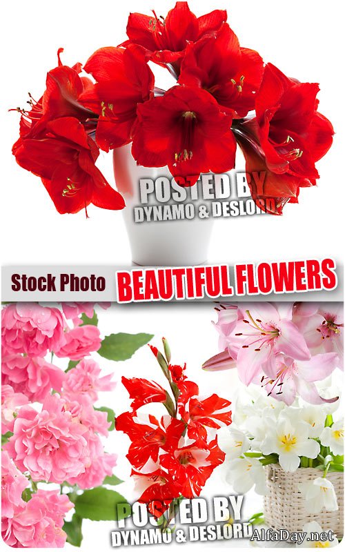 �������� ����� - ��������� �������