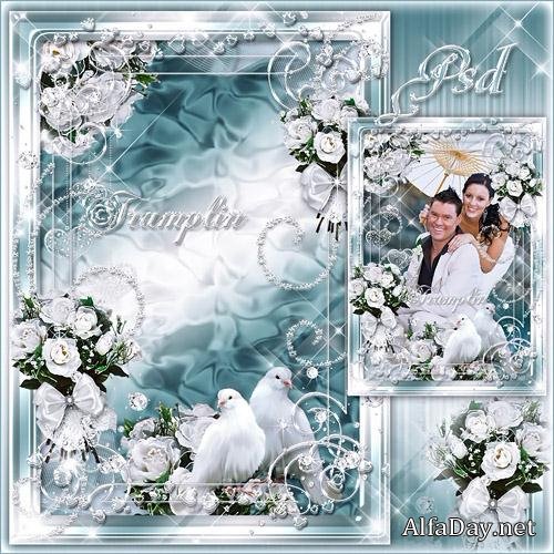 ��������� ����� ��� ���� � ����������� ����, ������, ���������� �������