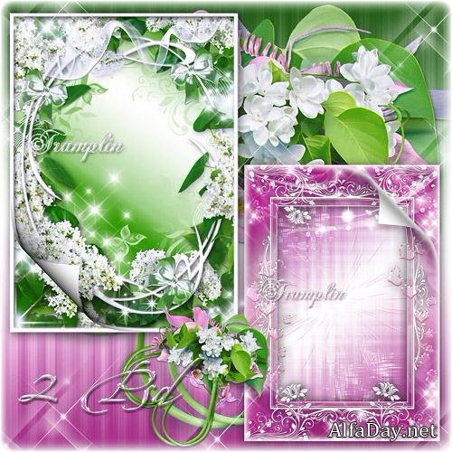 ��������� ����� ��� ����  �  �����, ����� - ��� ������ ����