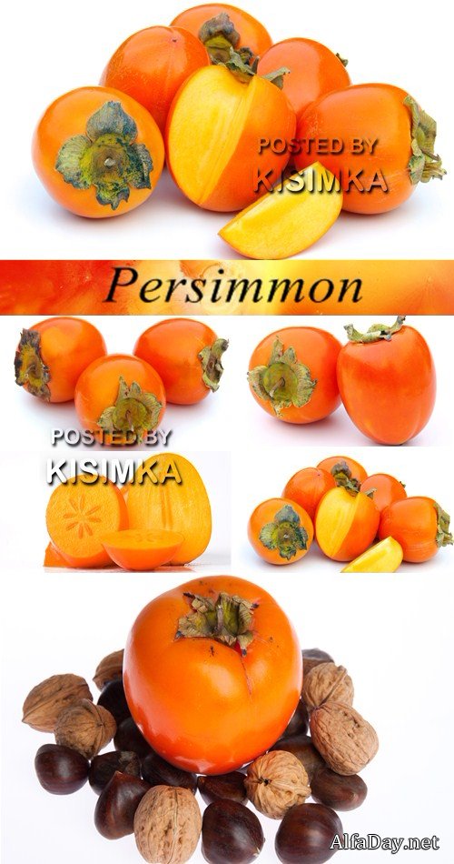 ���� ������� �� ����� ���� - �����, �����