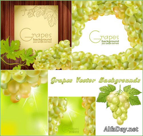 ������ ��������, ������� - ��������� ������� Green Grapes Vector