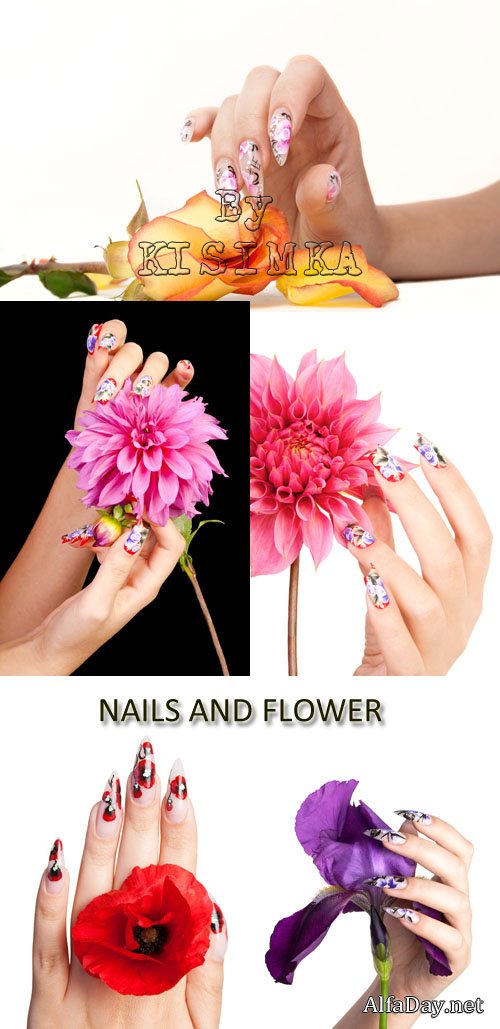 ���� ������� - �������� ������� ������� � �����