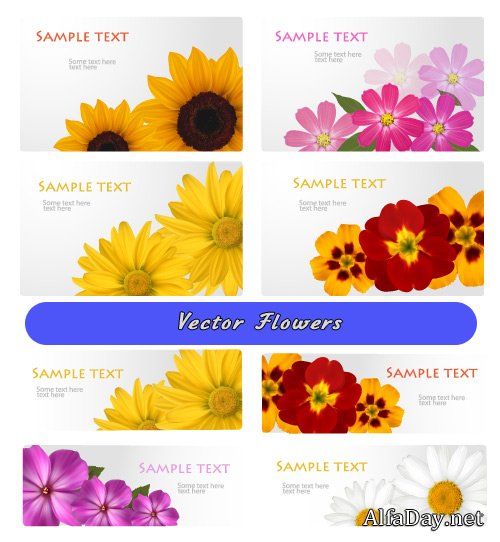 ��������� �������� � ������� - �����, �������, ����������