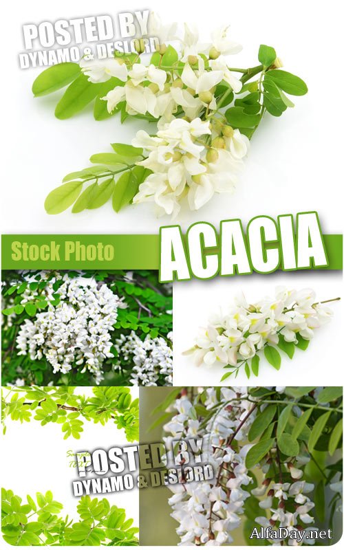 ���� � ���� ����� ������ - ��������� �������