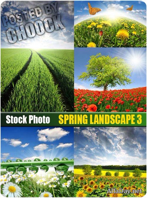 ���� �������� ������, ����, ������, ���� � �������, ����������, �������, ������� ����, ����������, �����