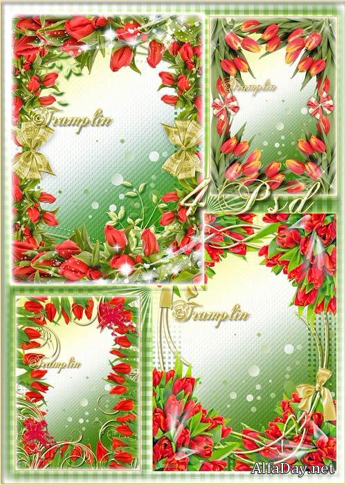 ��������� ����� ��� ���� � ������� ��������, �������� �������