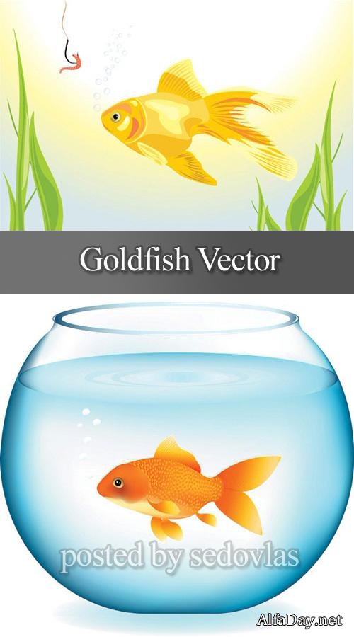 ������� ����� - ������