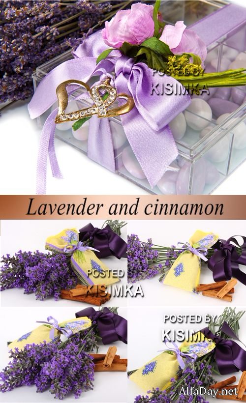 ���� ������� - ������� � ������