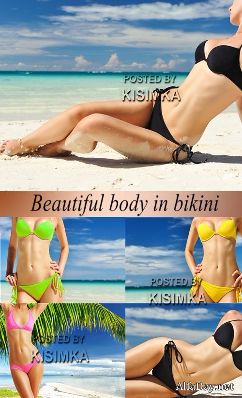 ���� ������� - �������� ����, �������, ������, ����, ����, ����