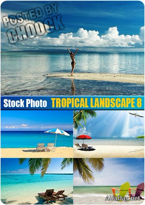 ���� ����������� ������, ����, ������, ������, ����� - ��������� �������