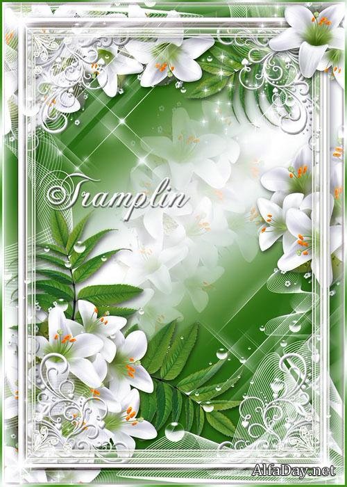 ��������� ����� ��� ���� - ����� �����, ������ ������������ 