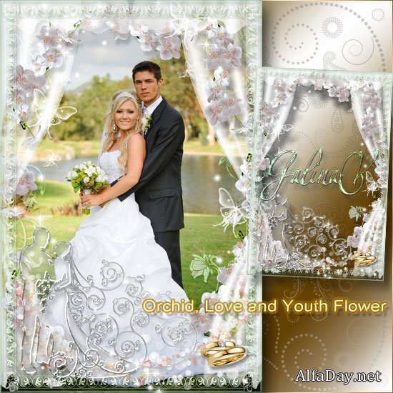 ��������� ��������� - �������, ������ ����� � ���������