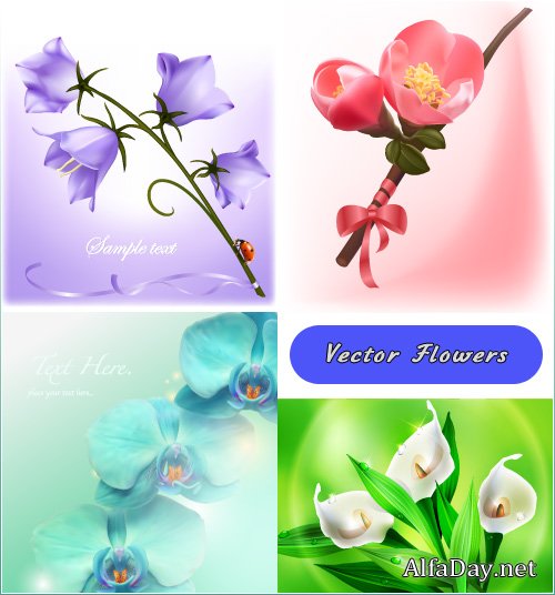 ������� ������, ����� �����, ��������� ������������ - ��������� �������