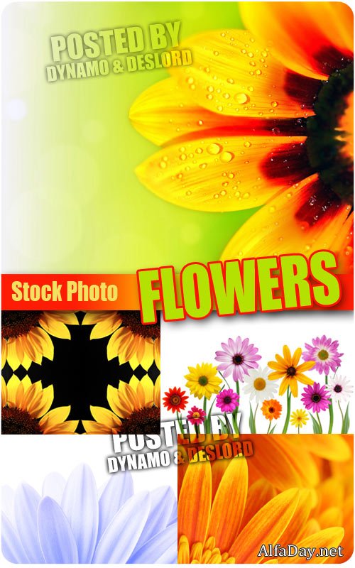 ��������� ���� ������� - ��������� �������