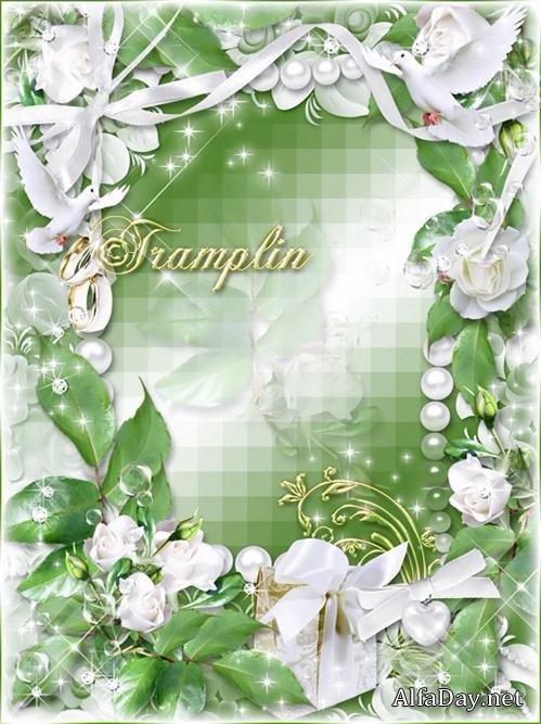 ��������� ����� � ��������, �������� � ������� - ������ ����� ��������� ��� � ������