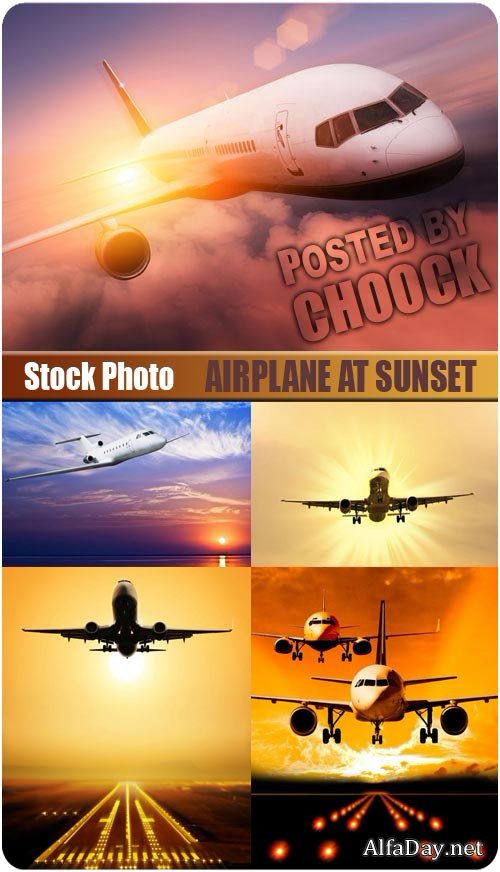 ���� ������� �� ������ - ��������� �������