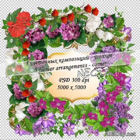 ��������� ���������� - ������ ������, ����, ��������