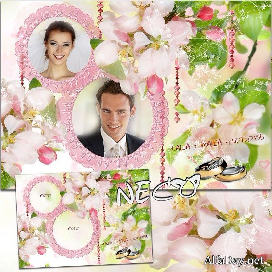 ��������� ����� �� ��� ���� - ������� �������� �������� ������