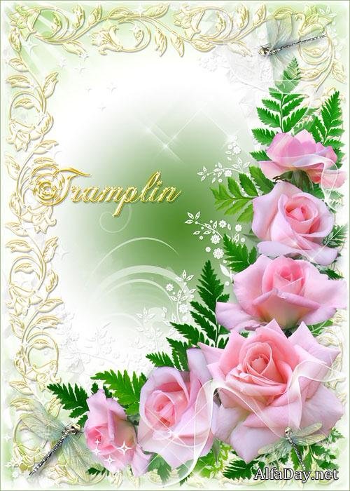 ��������� ��������� - ������� ����, �������� � ��������