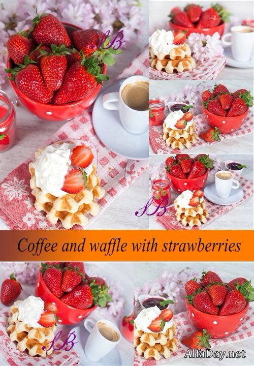 ���� ������� ����, �������� � ����� �� ��������